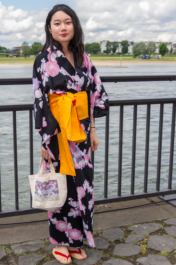 Japantag 2017_04