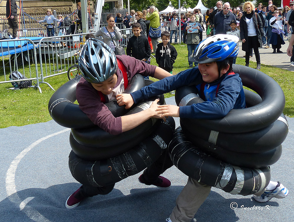 Japantag Düsseldorf 2013 - 8