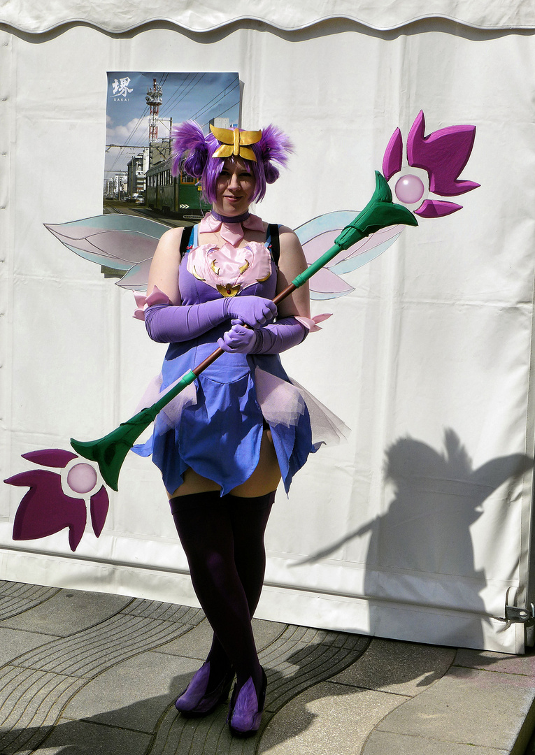 Japantag Düsseldorf 2017