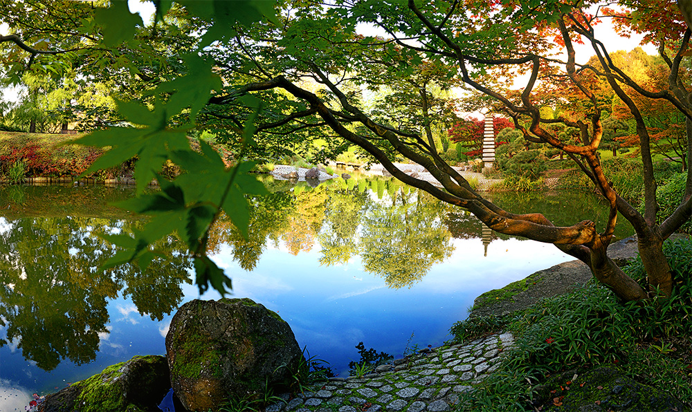 Jap.Garten in Bonn