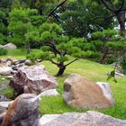 Japonese Garden