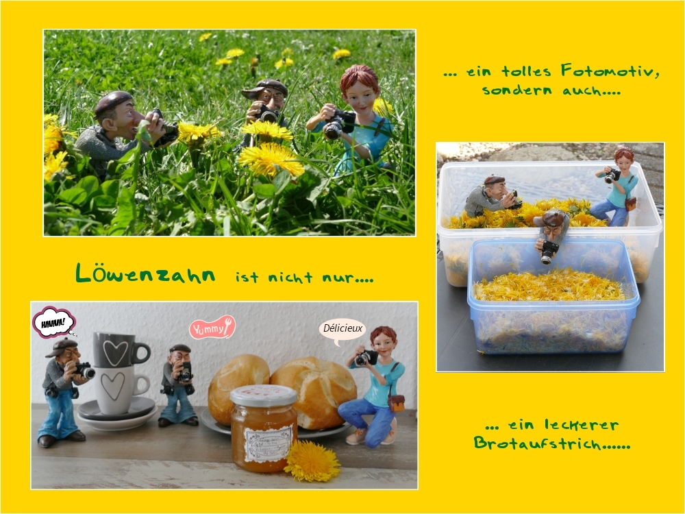 Jaque, Andre und Florence: "Löwenzahn ist nicht nur lecker...."