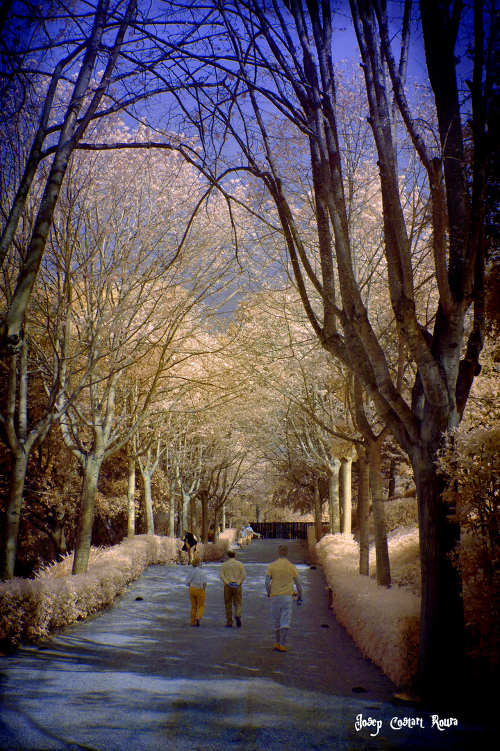 Jardi Botanico de Blanes