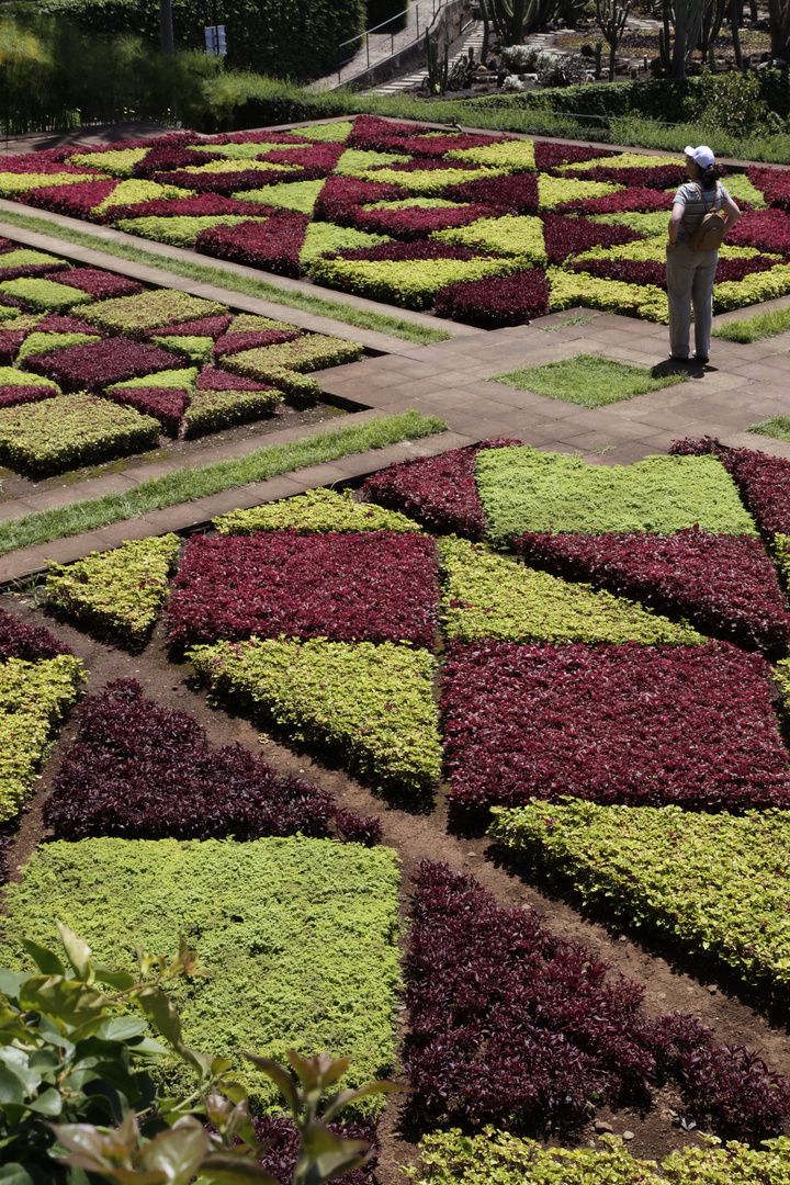 Jardim Botánico 2