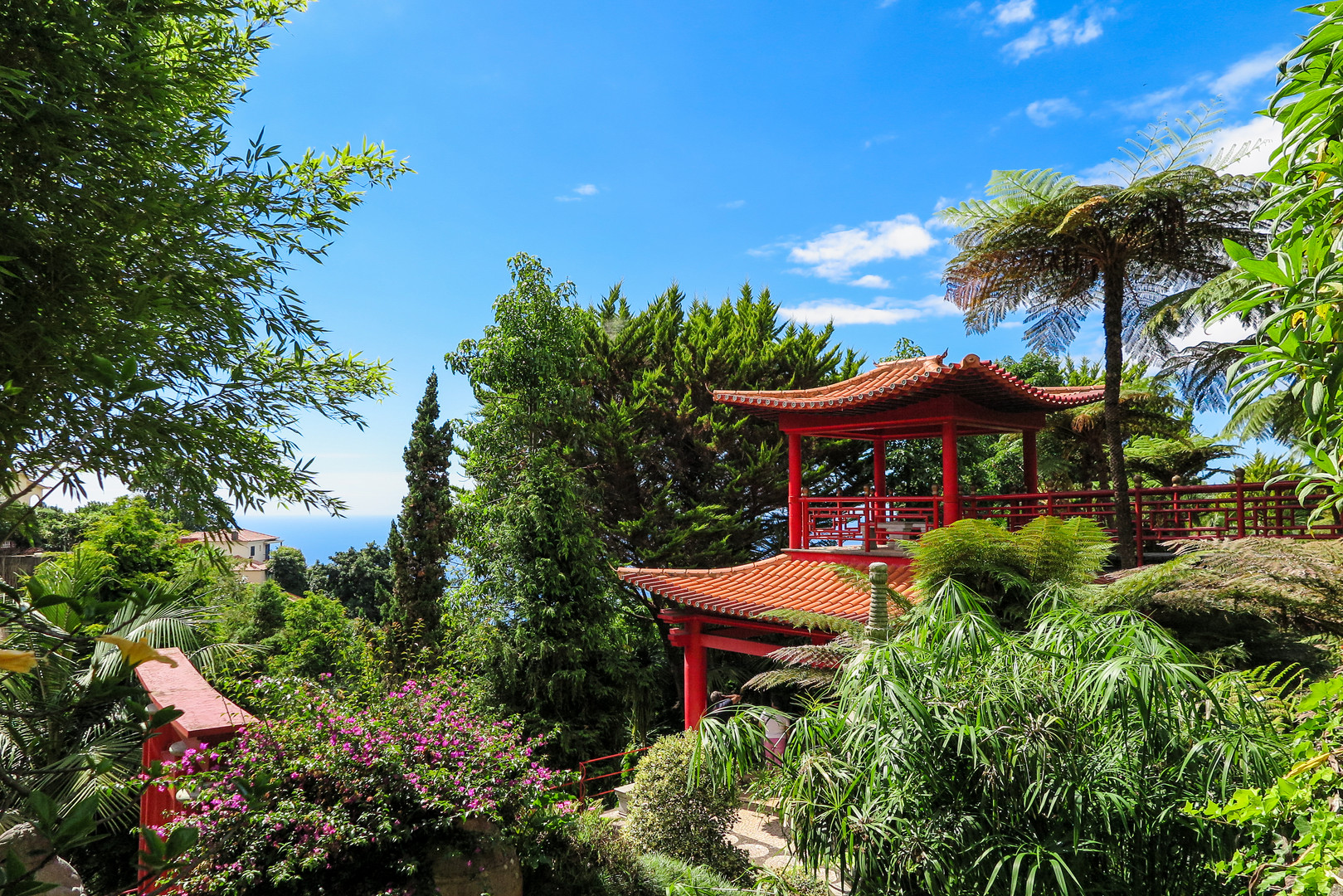 Jardim Botanico Monte Palace