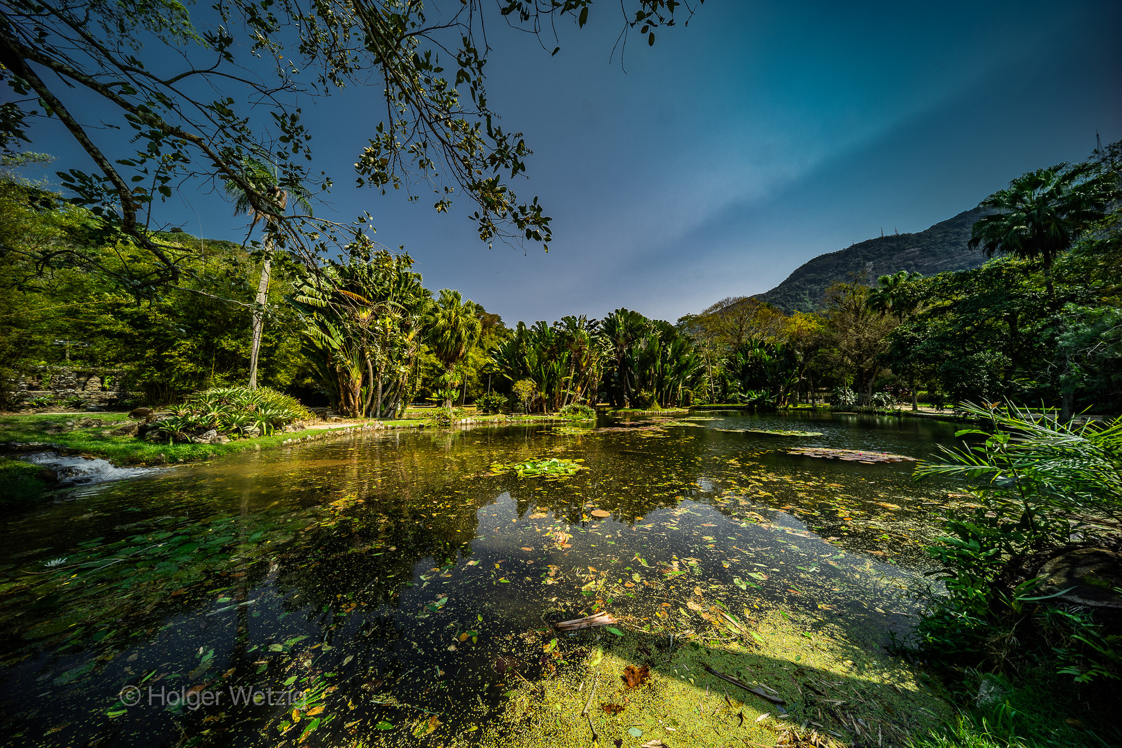 Jardim Botanico, Rio de Janeiro