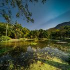 Jardim Botanico, Rio de Janeiro