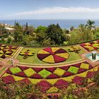 Jardim Botânico da Madeira