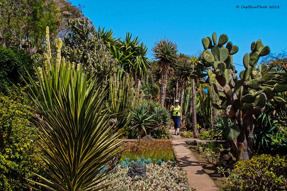 Jardim Botânico da Madeira