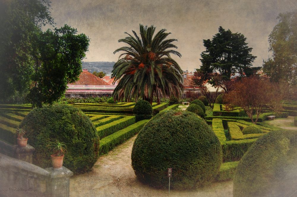 JARDIM BOTÂNICO DA UNIVERSIDADE DE LISBOA