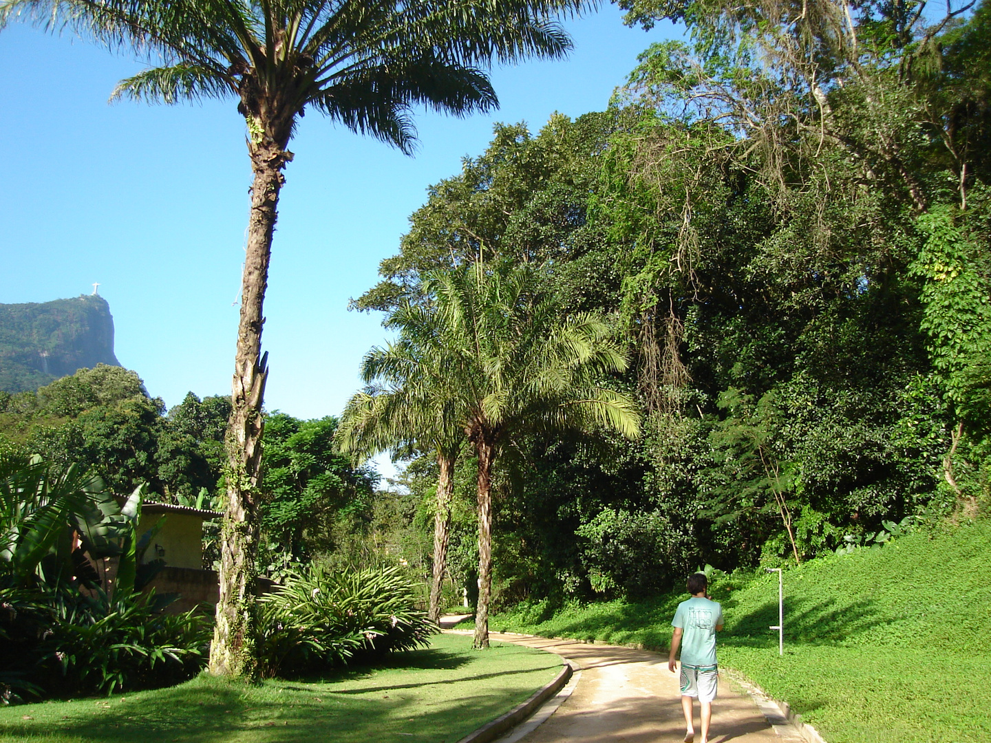 Jardim Botânico - Rio de Janeiro 2010