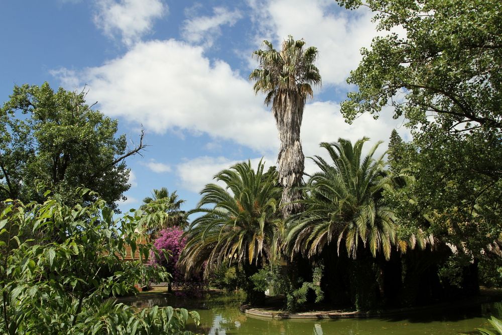 Jardim Botânico Tropical