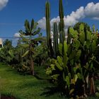 Jardim dos Cactus