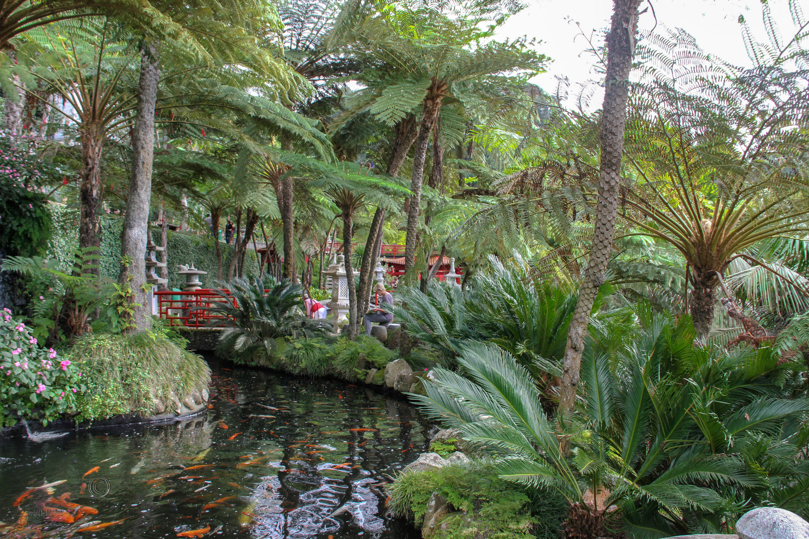 Jardim Tropical - Funchal/Monte/Madeira