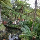Jardim Tropical - Funchal/Monte/Madeira