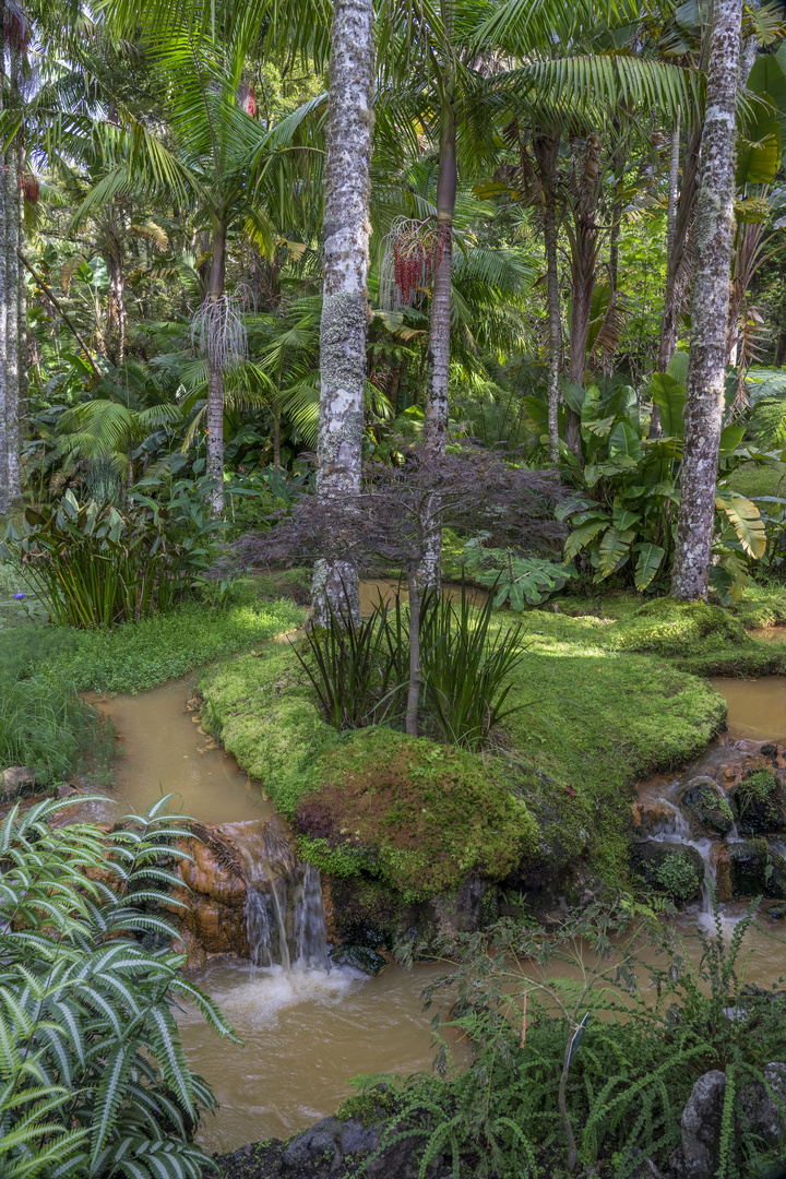 Jardim Tropical  (Terra Nostra, Acores)