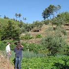 Jardin au Portugal