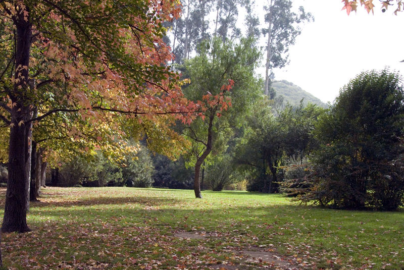 Jardín Botánico