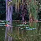 Jardin Botanico