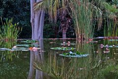 Jardin Botanico