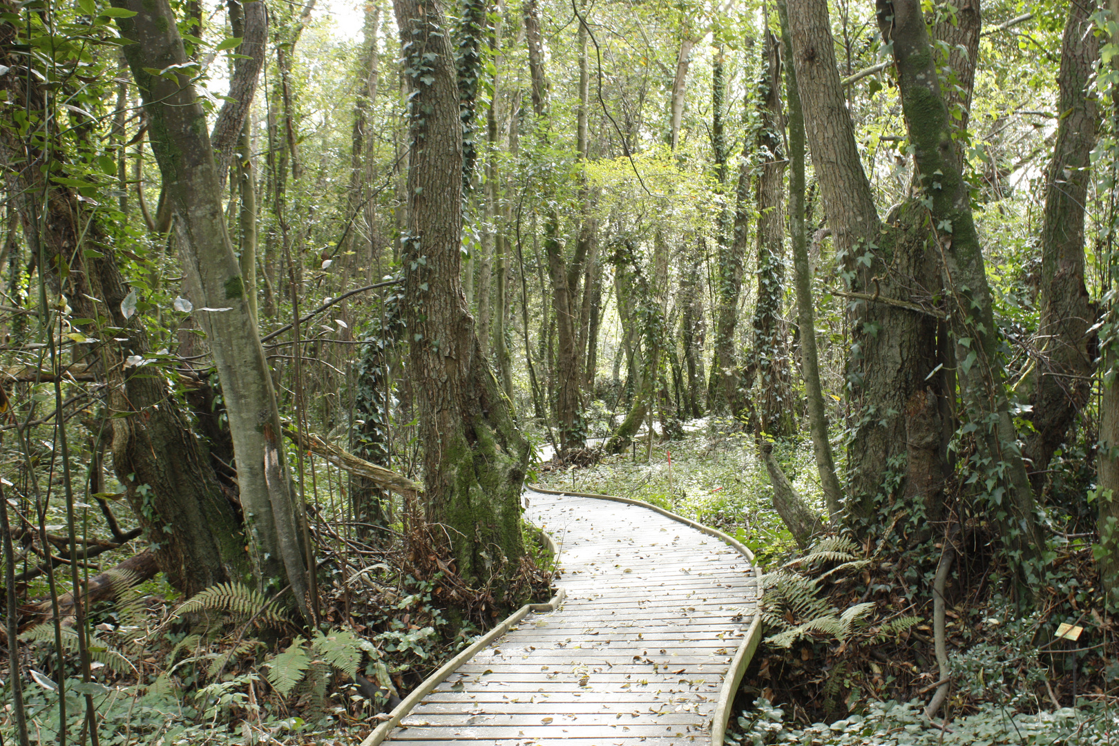 Jardín Botánico Atlántico de Gijón