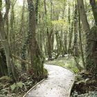 Jardín Botánico Atlántico de Gijón