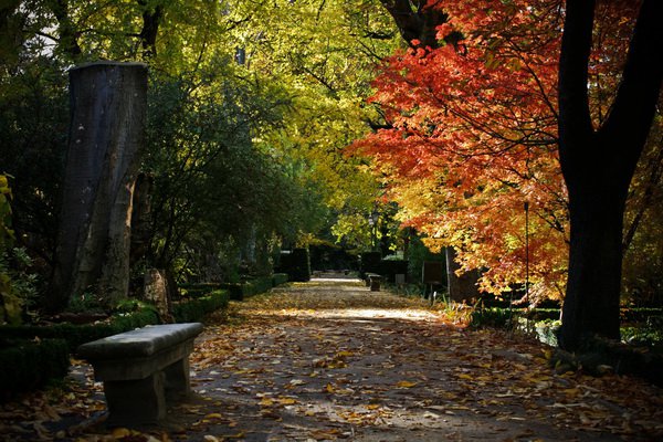 Jardin Botanico!