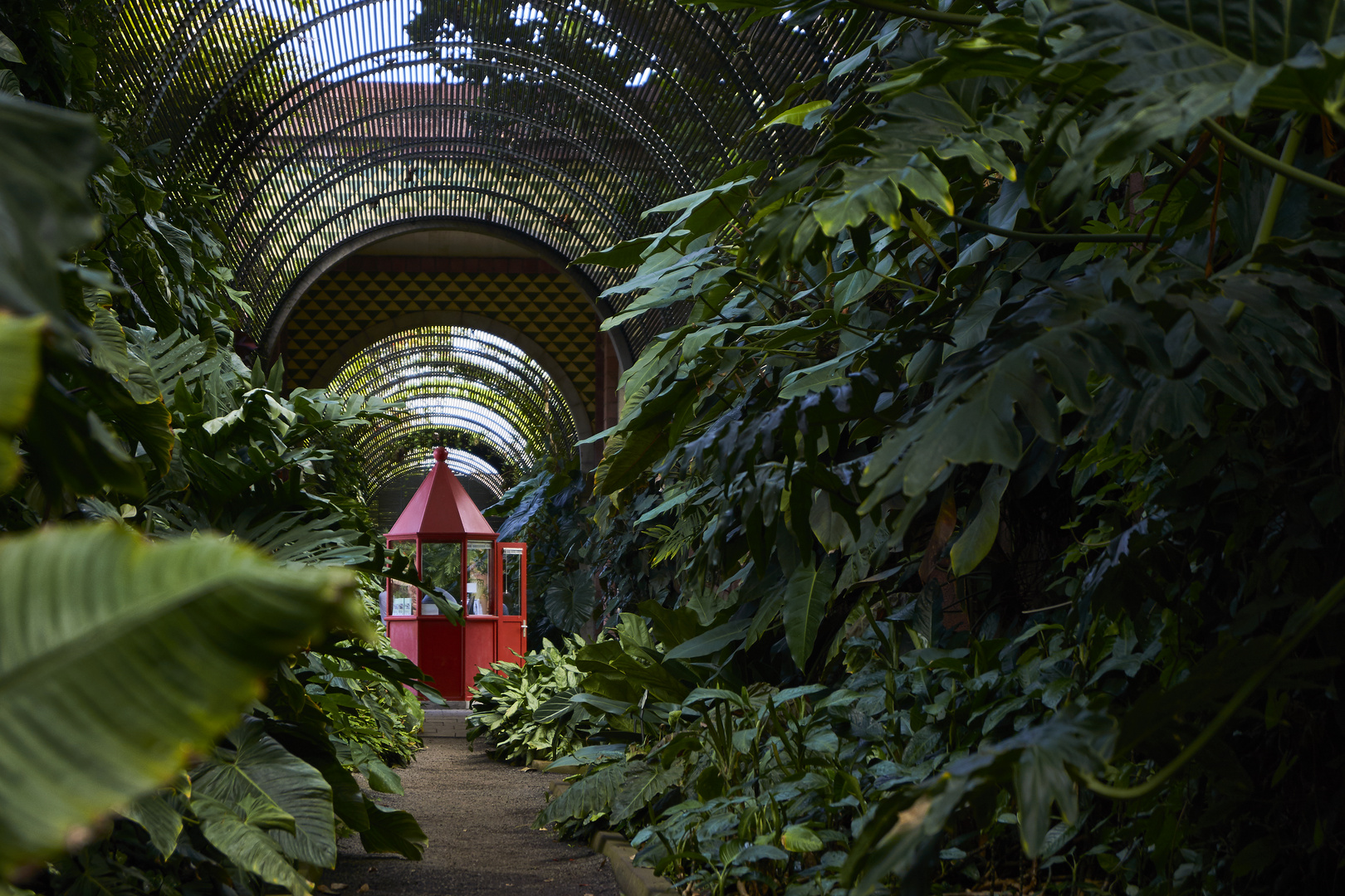 Jardín Botánico