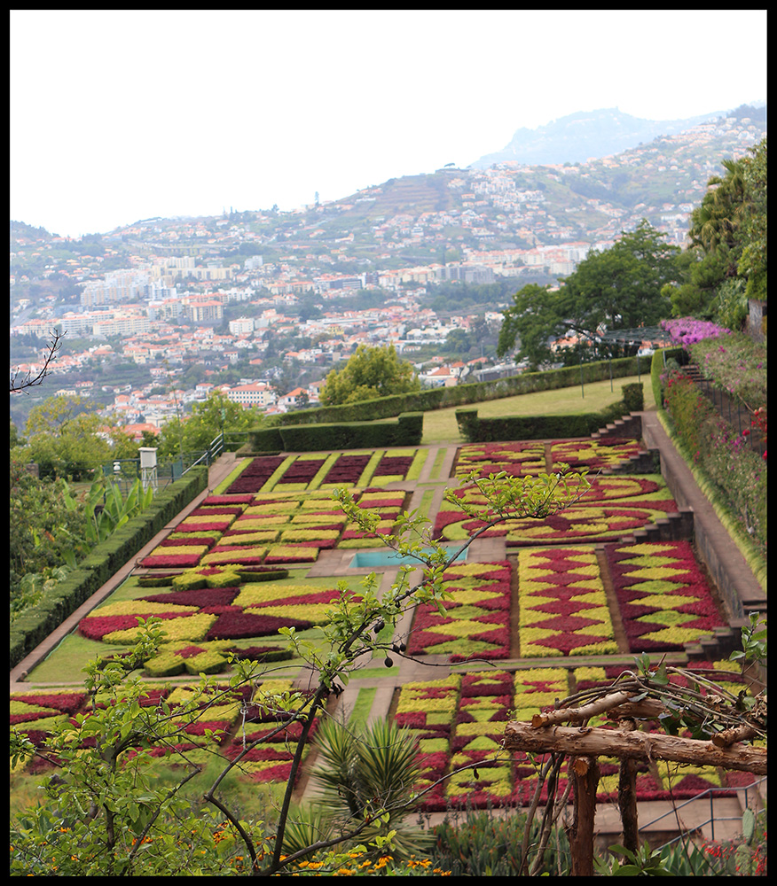 Jardin Botanico da Madeira