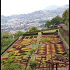 Jardin Botanico da Madeira