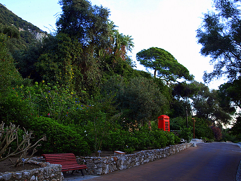 jardin botanico de Gibraltar