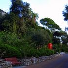 jardin botanico de Gibraltar