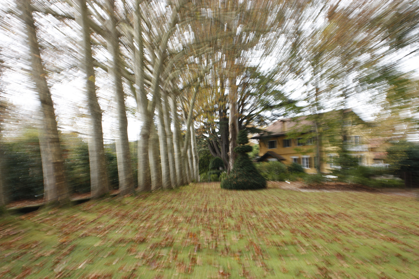 Jardín Botánico de Gijón