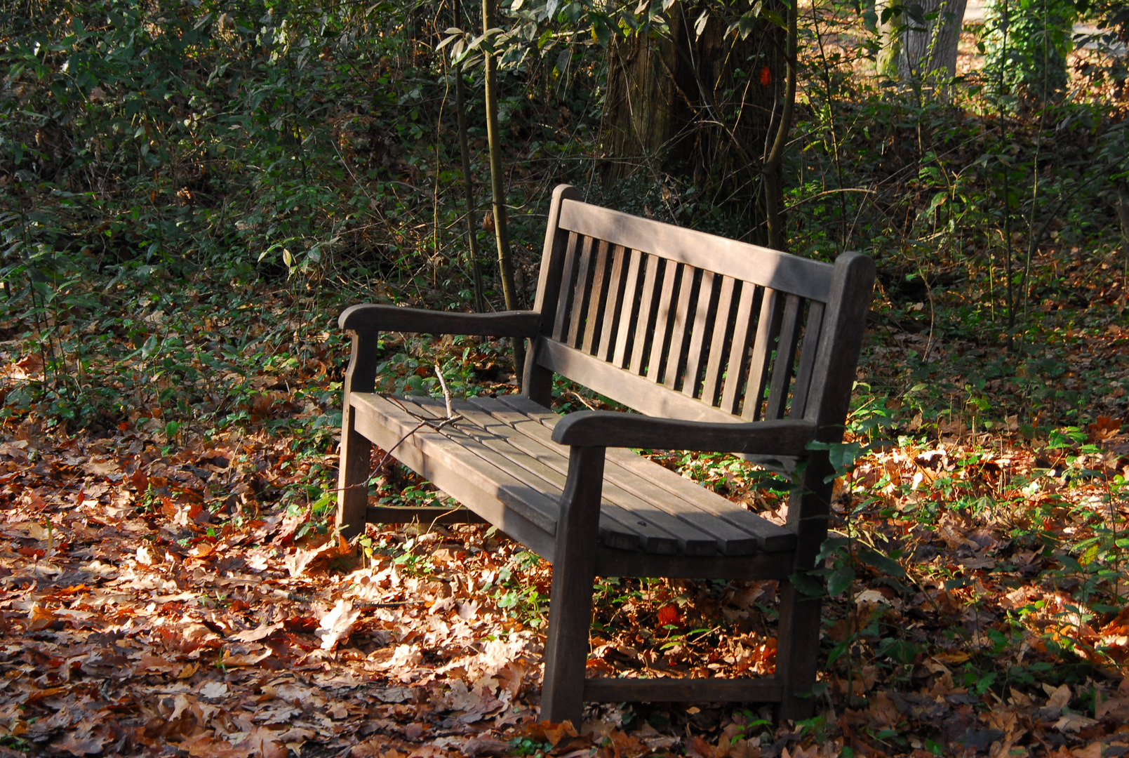 Jardin Botanico del Atlantico