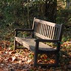 Jardin Botanico del Atlantico