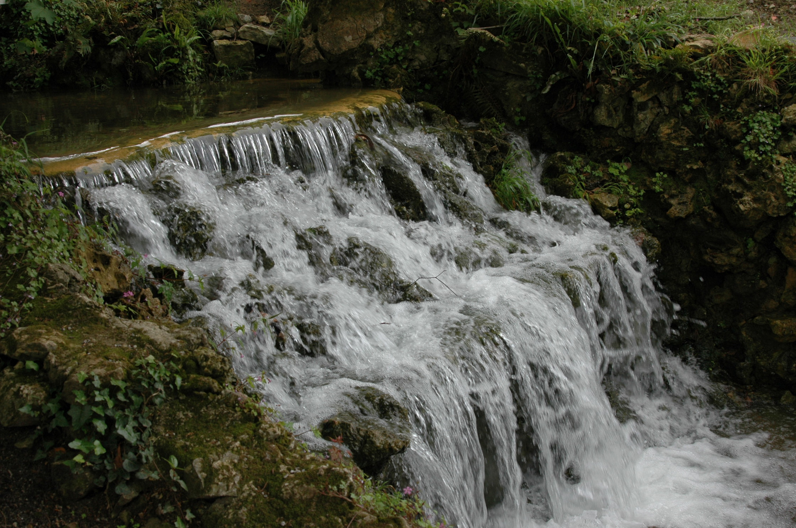 Jardín Botánico