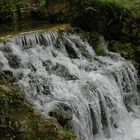 Jardín Botánico