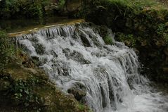 Jardín Botánico