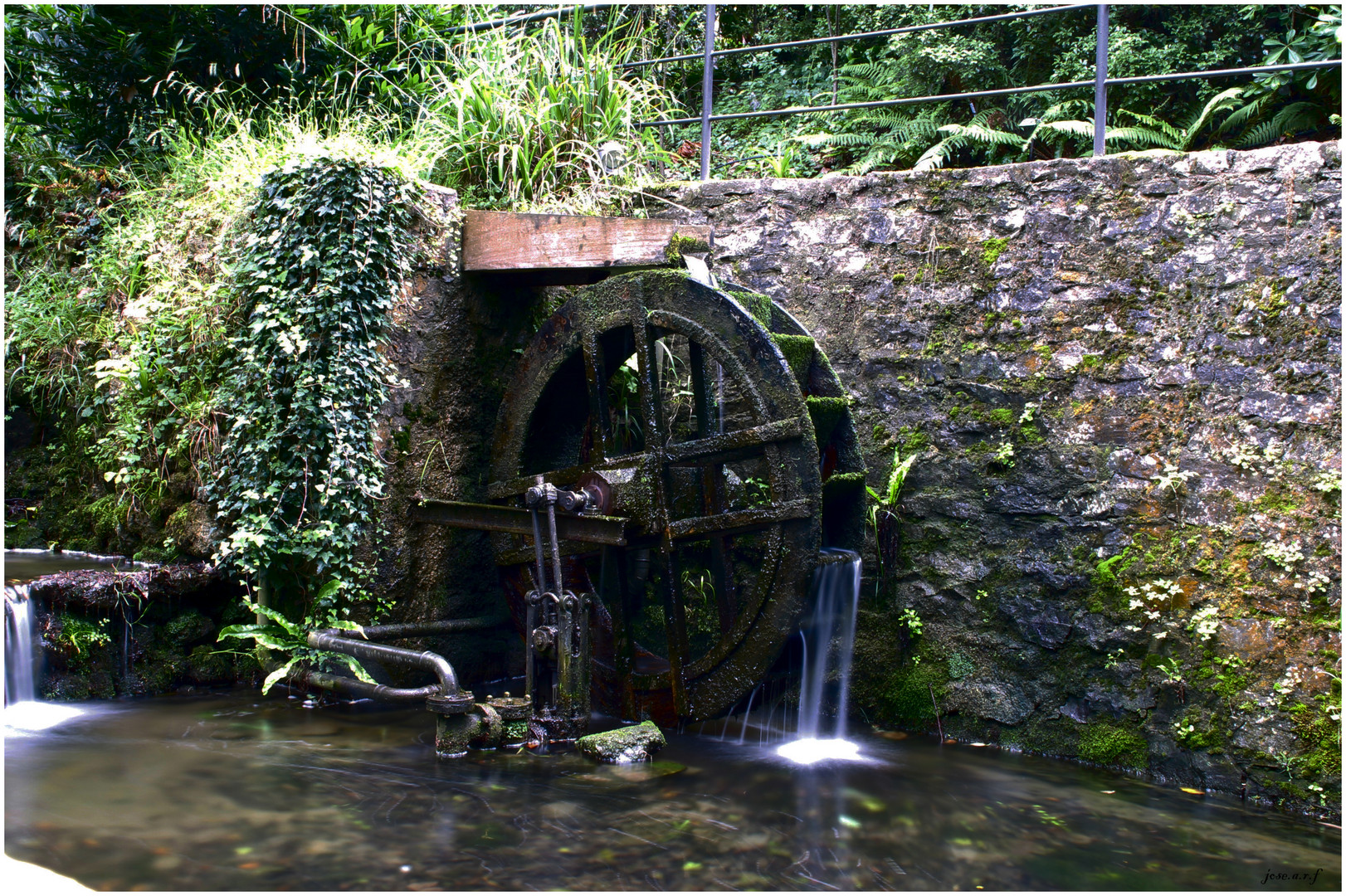 jardin botanico-gijon