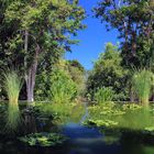 Jardin Botanico II