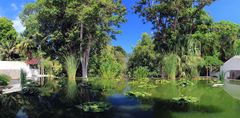 Jardin Botanico II