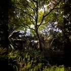 Jardin Botánico La Concepción