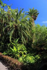 Jardin Botanico - P. de La Cruz