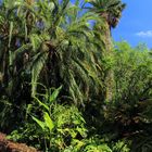 Jardin Botanico - P. de La Cruz