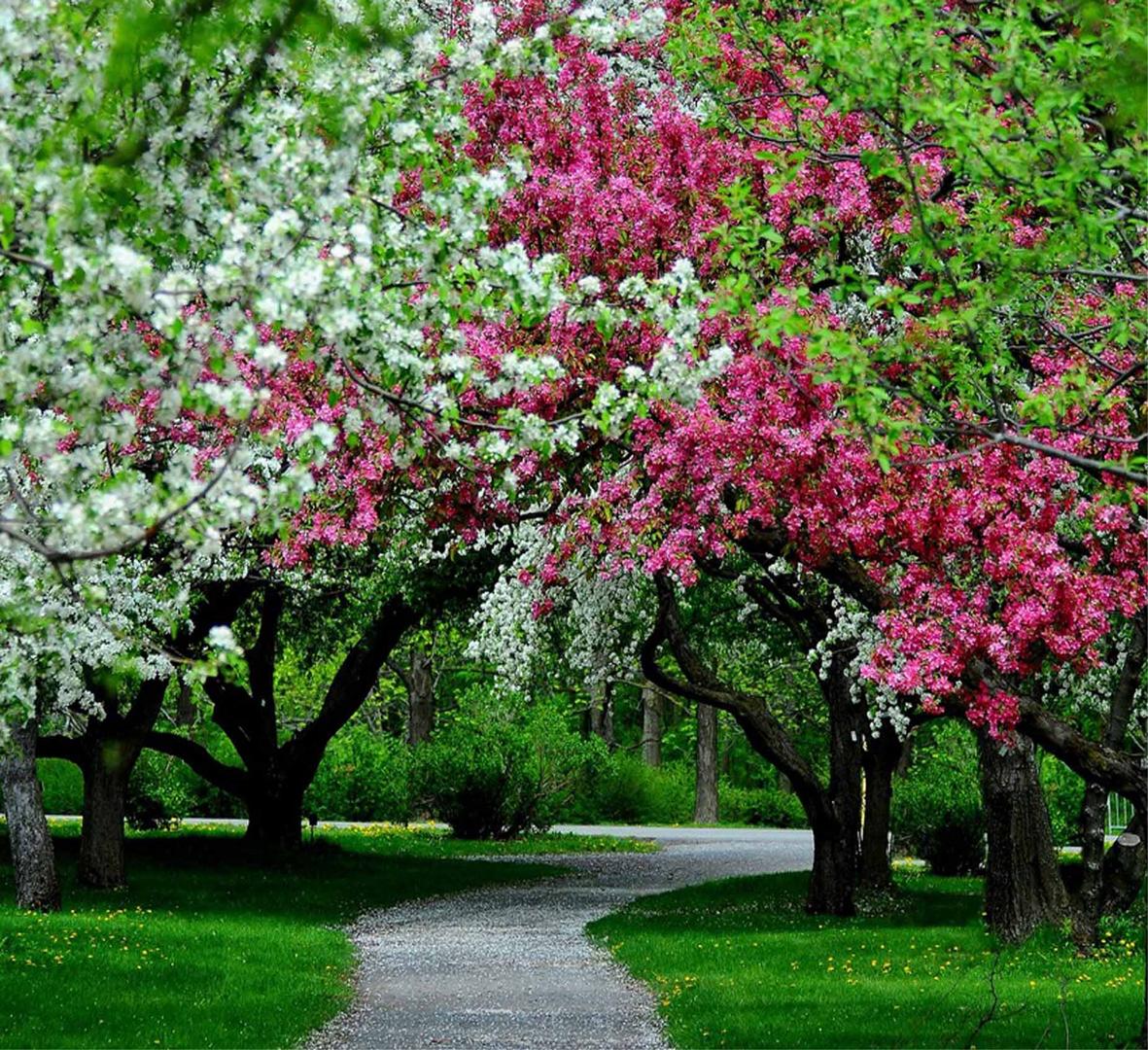 Jardin Botanique.