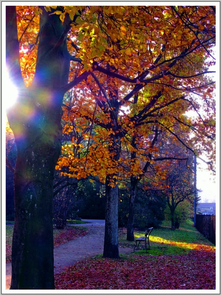 Jardin botanique