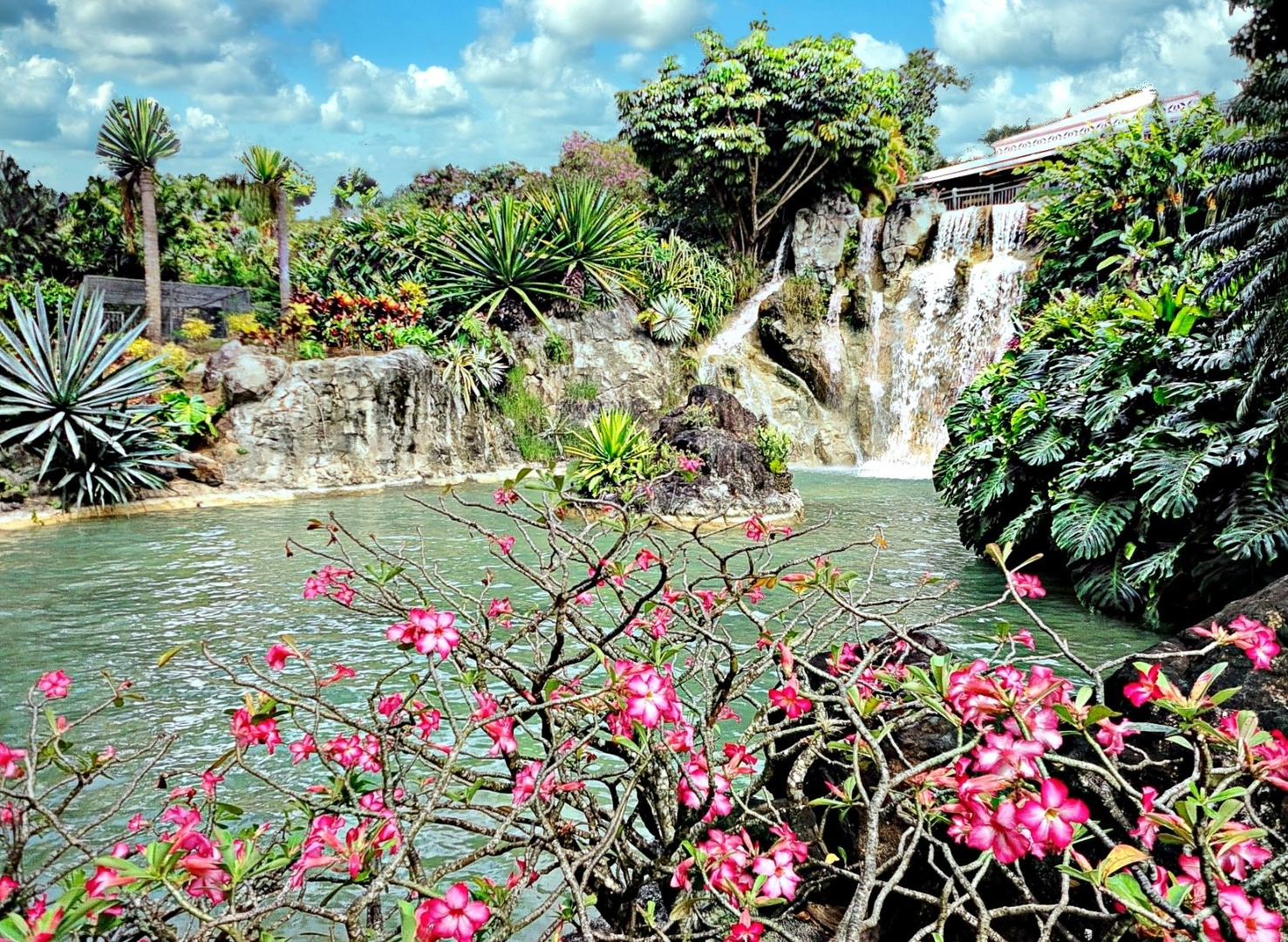 Jardin botanique de Deshaies