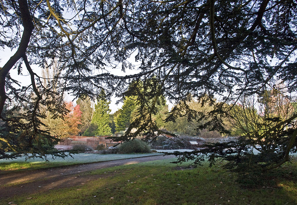 Jardin botanique de l’Université Cambridge Botanischer Garten der