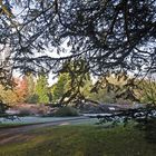 Jardin botanique de l’Université  --  Cambridge  --  Botanischer Garten der Universität