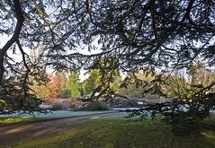 Jardin botanique de l’Université  --  Cambridge  --  Botanischer Garten der Universität